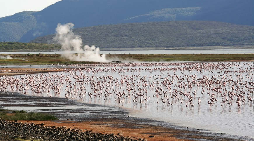 6 Days Rift Valley Lakes and Maasai Mara Camping Safari