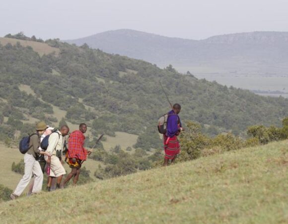 6 Days Kenya Wild Plains Walking Safari