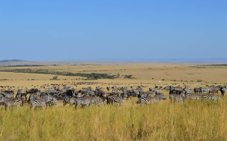 9 Days Rift Valley Walking Safari